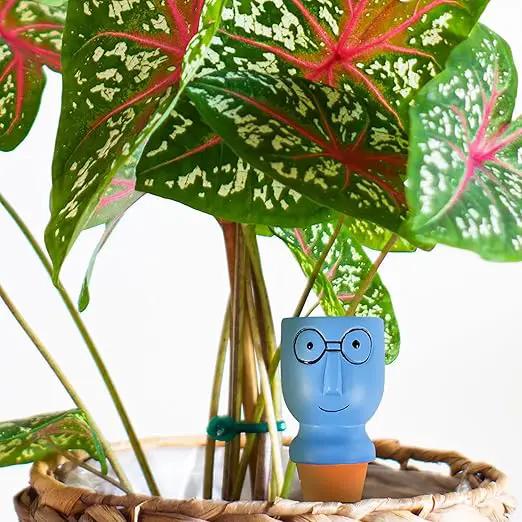8 Pack Terracotta Watering Spikes, Vacation Self-Watering Planters Devices - Continuous Moisture with Slow Release Watering System - Perfect for Indoor Outdoor Plants (Big head-2pc) by GreenHaven Gardens