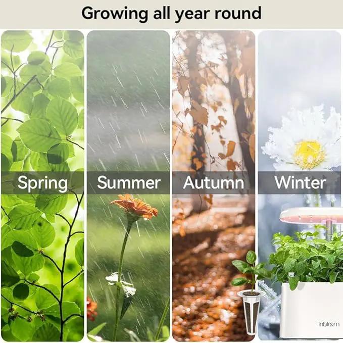 inbloom Fragrant Bouquet Seed Pod Kit for AeroGarden, iDoo, Ahopegarden, GARDENCUBE, 12 Pods (350+ Flower Seeds with Sunflower, Petunia, Mexican Marigold, Cockscomb, French Marigold, Dahlia) by GreenHaven Gardens