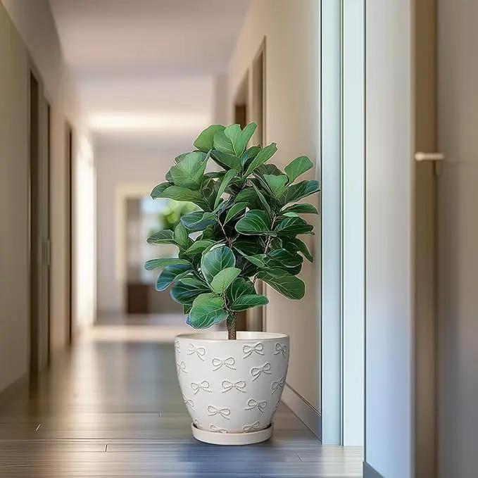 Pots for Plants 10 Inch - Ceramic Planter Large Plant Pot for Indoor Plants Outdoor Round Flower Pot with Drainage Hole and Saucer Home Garden Decor White by GreenHaven Gardens
