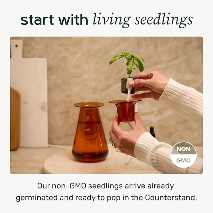 Counterstand Set – Vase Plant for Indoor Edible Garden Kit for Herbs & Lettuce – Small-Space Hydroponic System – Home Decor & Gifting – with Live Plants by GreenHaven Gardens