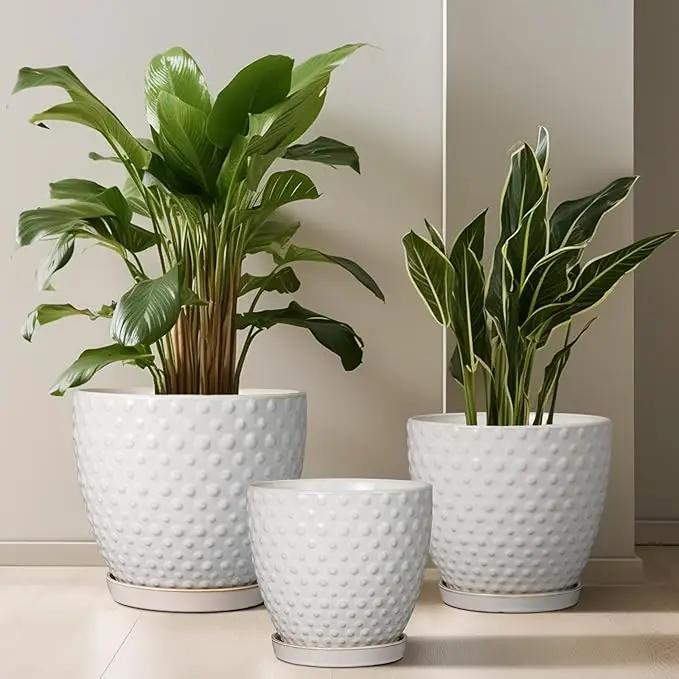 G EPGardening 6 Inch Ceramic Plant Pot with Drainage Hole and Saucer Round Planter Decorative Flower Plant Pot for Indoor Plants Outdoor White by GreenHaven Gardens