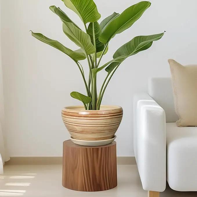 Ceramic Pot for Plants 11 Inch - Planter for Outdoor Plants Indoor Plant Pot with Drainage Hole and Saucer Large Planter Round Flower Pot for House Patio Garden Yellow by GreenHaven Gardens