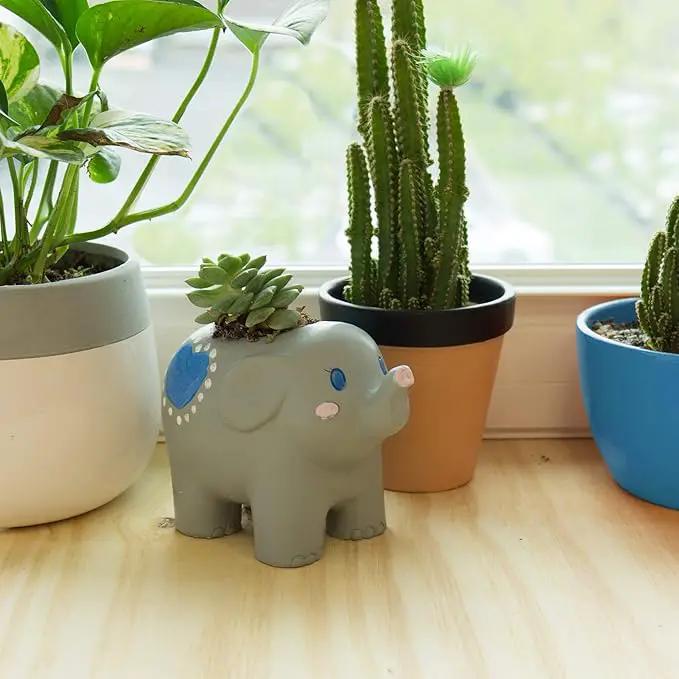 Creative Roots Paint Your Own Elephant Planter by Horizon Group USA Toy by GreenHaven Gardens