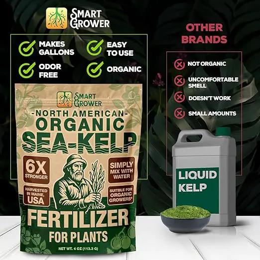 Organic Sea Kelp Fertilizer for Plants – Water-Soluble – Makes 100 Gallons – Kelp Meal Concentrate Plant Food – for Indoor Gardens, Hydroponics, Vegetables, Houseplants - Smart Grower - 4oz Bag by GreenHaven Gardens