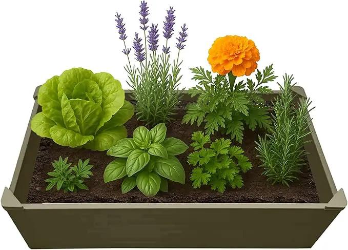 Raised Garden Bed - 2x4 ft Planter Box - Weathered Wood HDPE - No Tools Needed - DIY Kit for Urban Gardening, Flowers, Herbs & Vegetables - Made in The USA by GreenHaven Gardens
