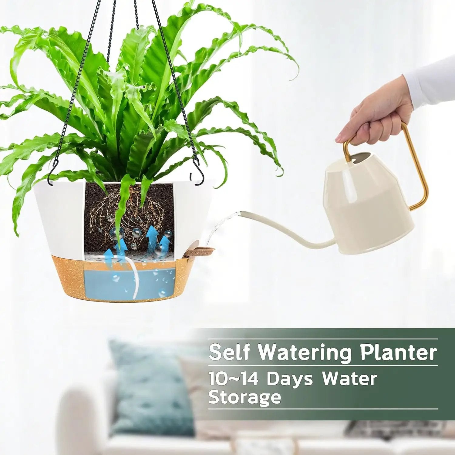 ZMTECH 12 Inch Hanging Planters for Indoor, 2 Pack Large Hanging Plant Pot with Visible Water Level and Chain, Self Watering Hanging Flower Pot for Outdoor Garden Porch(12Inch, White) by GreenHaven Gardens