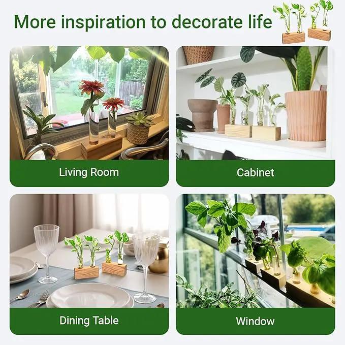 Ivolador Propagation Stations Double Test Tube Plants Terrariums in Wooden Stand Propagation Station for Hydroponic Plants Office Home Decoration by GreenHaven Gardens