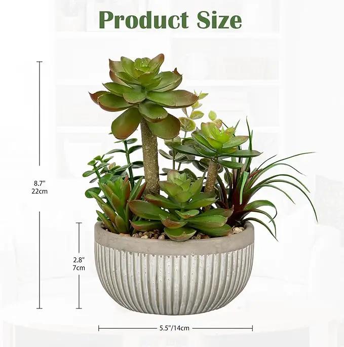 DILATATA Small Faux Plant Assorted Fake Succulents Plants Faux Succulents Arrangement Cement Potted Desk Plants Small Fake Plants for Home Table Office Bathroom Shelf Living Room Decor by GreenHaven Gardens