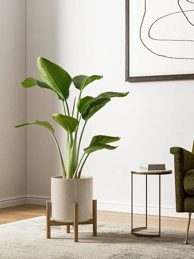 LE TAUCI Ceramic Plant Pots Indoor, 10+8+6 Inch Planters for Indoor Plants, Mid-Century Modern Flower Pots with Drainage Hole and Plug, Cylinder Round Planters, Set of 3, Reactive Glaze Beige by GreenHaven Gardens