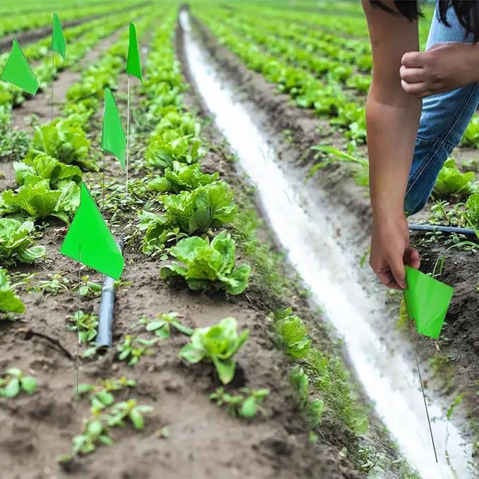 Zozen 50Pack Green Marking Flags, Writable/15x4x5 Inch, Yard Flags for Lawn & Irrigation & Landscape & Sprinkler & Survey & Dog Training. by GreenHaven Gardens