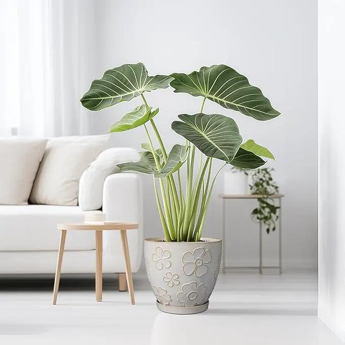 10 Inch Ceramic Planter Pot Large Plant Pot for Indoor Plants Outdoor Round Flower Pot with Drainage Hole and Saucer for Home Garden Decor White by GreenHaven Gardens