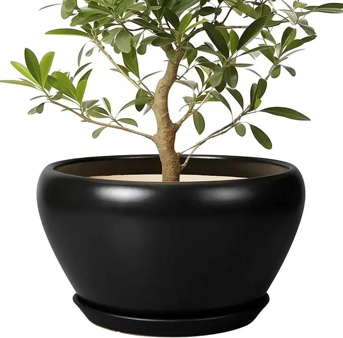 Ceramic Pot for Plants Large - 13 Inch Plant Pot Indoor with Drainage Hole and Saucer Round Planter Decorative Planter Outdoor Flower Pot for House Decor Balcony Black by GreenHaven Gardens
