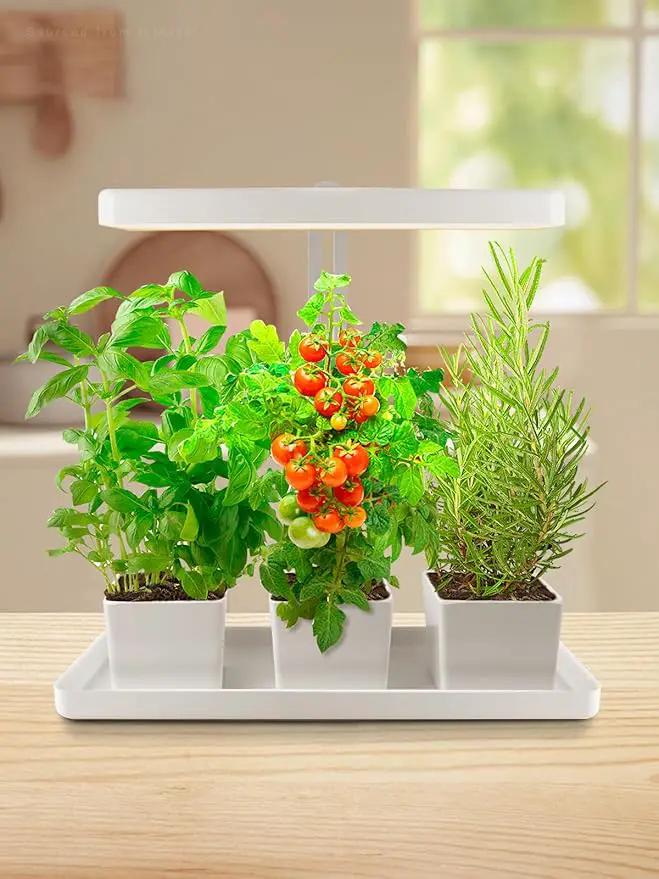 TORCHSTAR Indoor Herb Garden with LED Grow Light, Height Adjustable, 20W Growing System with Automatic Timer, CRI 95+, Full Spectrum Plant Light for Seeds, Vegetation, Home, White, No Pots or Plants by GreenHaven Gardens