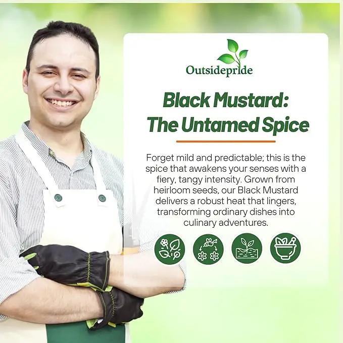 Outsidepride Black Mustard Seeds - 10000 Pcs Nutrient-Rich, Flavorful Annual Microgreen Seeds for Planting, Easy-to-Grow, Ideal for Indoor & Outdoor Cultivation, Soil & Hydroponic Systems by GreenHaven Gardens
