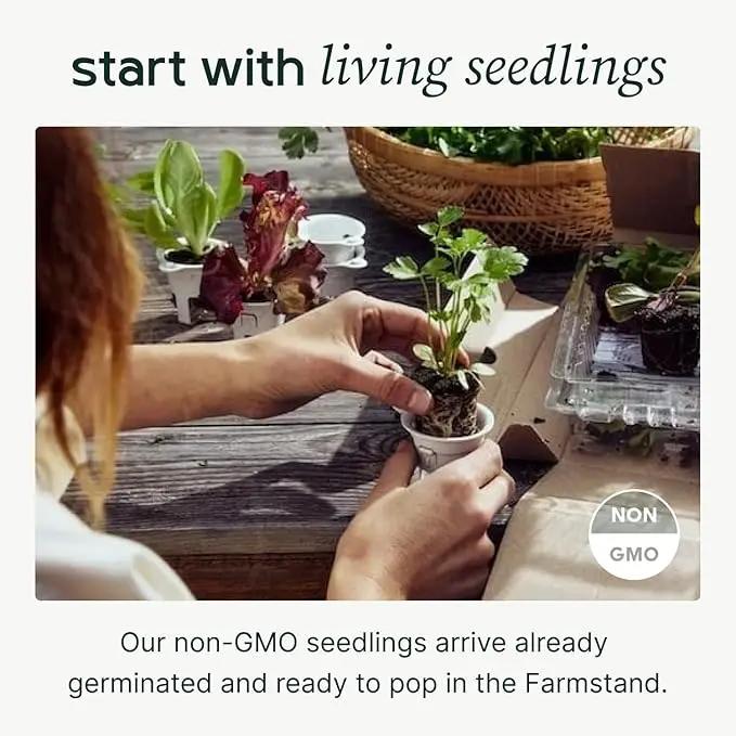 Farmstand Starter Kit + 36 Seedling Credits | Large Hydroponic Growing System Kit | Self-Watering Outdoor Vertical Garden Planter Tower | 6ft 1in | Made in USA by GreenHaven Gardens