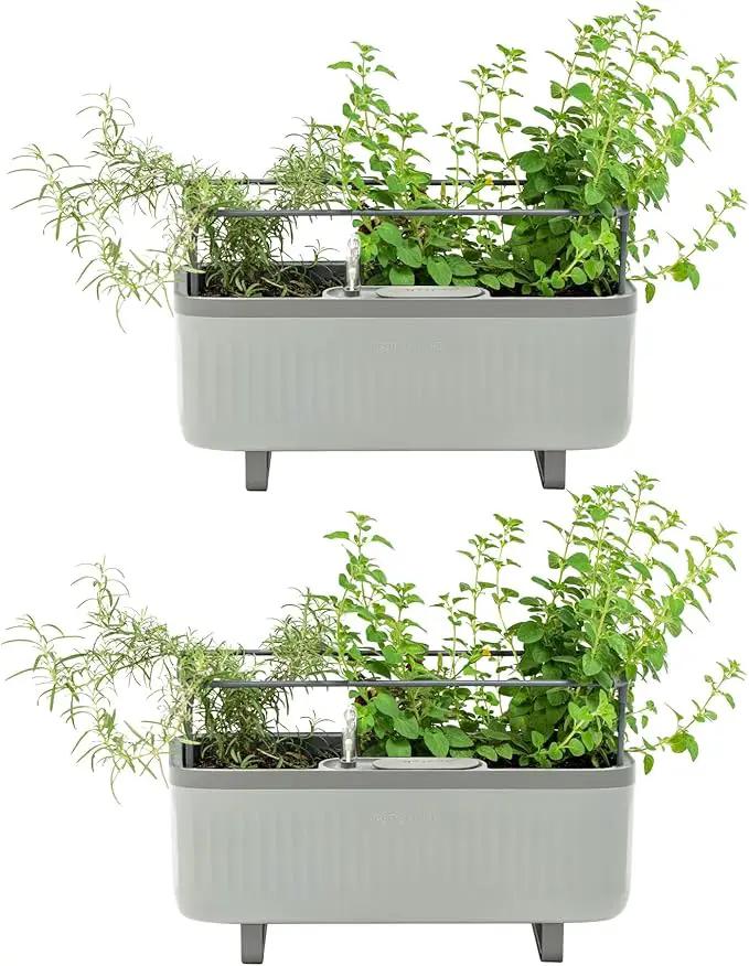 Vego garden 2 Pack Herb Indoor Plant Box, Self Watering Planters Pots for Indoor Plants with Trellis for Kitchen Window Sill or Countertop Plants Cage - Fog Gray by GreenHaven Gardens