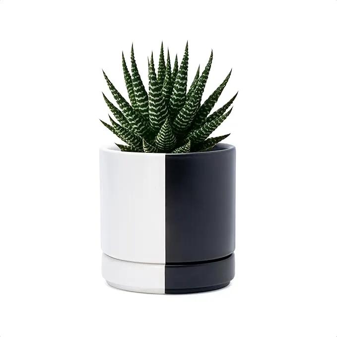 D'vine Dev 4.7 Inch Ceramic Planter Pot with Drainage Hole and Saucer, Indoor Cylinder Round Planter Pot, Split Monochrome Black & White, 94-O-B-0 by GreenHaven Gardens