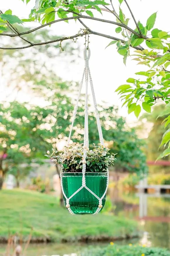 Melphoe Self Watering Hanging Planters for Indoor Plants, 1 Pack 8.3 Inch Outdoor Hanging Plant Pot Basket, 2 Kinds of Hangers Macrame 35.5’’ & Metal Chain 19.6’’ for Garden Home Decor by GreenHaven Gardens