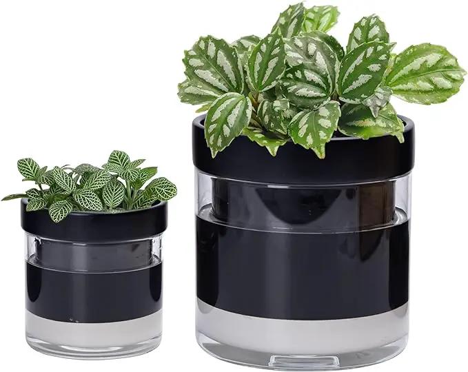 Phoenix Vine 6 Inch 4 Inch Self Watering Terracotta Planter, Black Terracotta Clay Pot with Glass Reservoir for Indoor Plants, Herbs, Flowers, 52-C-G-46 by GreenHaven Gardens