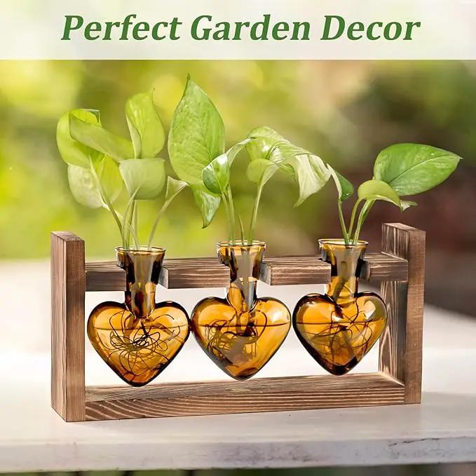 Lifecapido Heart Shaped Propagation Stations, Plant Terrarium with Wooden Stand, Plant Propagation Station for Hydroponics Plants Office Garden Home Decor, Gifts for Women Plant Lover (3 Vases, Amber) by GreenHaven Gardens