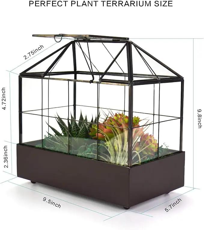 Large Tall Plant Terrarium Glass Greenhouse with Lid and Tray, Indoor Tabletop Orchid Succulent Cacti Kit 9.5'X9.8'X5.6' by GreenHaven Gardens