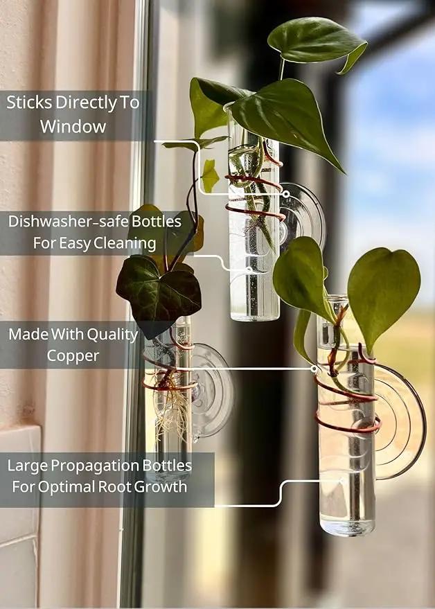 The Little Window Propagator | Window Propagation Station with Removable Glass Tubes, Indoor Plant Clippings, Cut Flowers, Herbs, Succulents | Home Decor | Plant Lover Gift (3) by GreenHaven Gardens