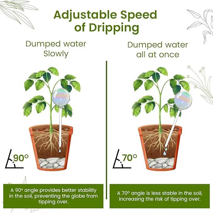 Large 2 Pcs Iridescent Self Watering Globes, Glass Rainbow Plant Watering Globes, Self Watering Planter Insert, Automatic Plant Waterer Indoor, Plant Watering Devices, Plant Water Globe, Watering Bulb by GreenHaven Gardens