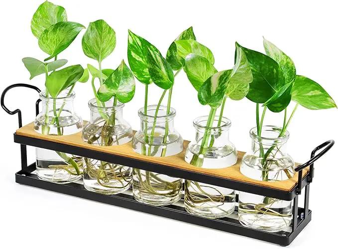 THYGIFTREE Plant Propagation Stations with Metal Stand, Tabletop Plant Terrarium for Propagating Hydroponic, Retro Glass Planter Flower Vase Home Kitchen Office Decor, Plant Lover Gifts, 5 Jars by GreenHaven Gardens