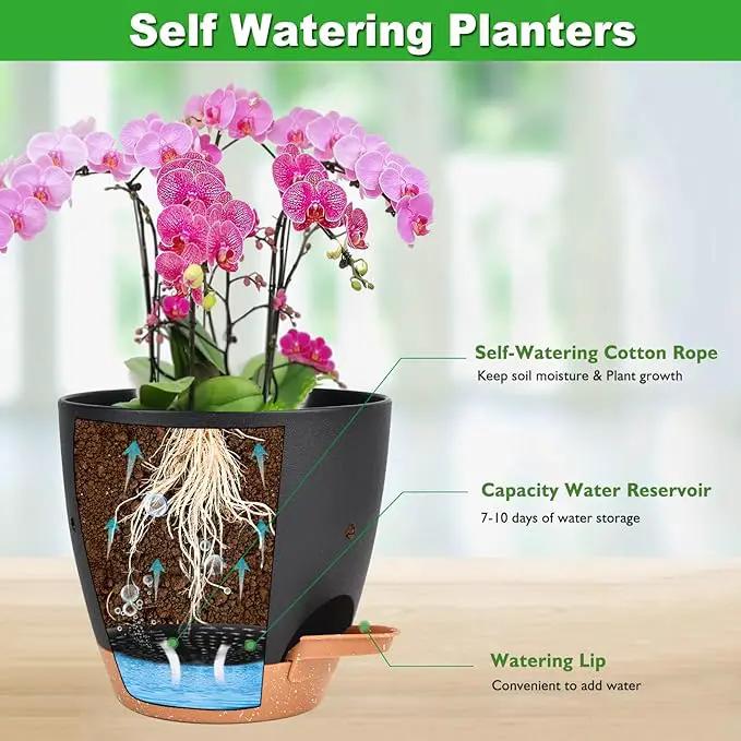 6 Inch Orchid Pots with Holes, 2 Pack Self Watering Planters for Orchids Plastic Orchid Pot Plant Flower Pots for Orchids Indoor Outdoor (Black with Brown) by GreenHaven Gardens
