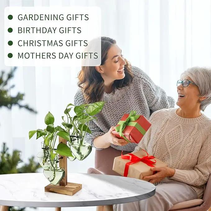 Plants Propagation Stations Plant Terrarium Kit Glass Planters for Indoor Plants House Plant Accessories Gift for Women - 4 Love Bulb Vase by GreenHaven Gardens