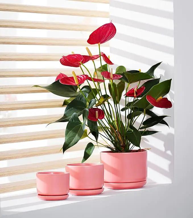 Ton Sin Plant Pots, 4.1+5.1+6.5 inch, Set of 3, Ceramic Planters with Drainage Hole and Saucer, Indoor Flower Pot with Hole Mesh Pad, Gifts for Mom(Matte Orange) by GreenHaven Gardens