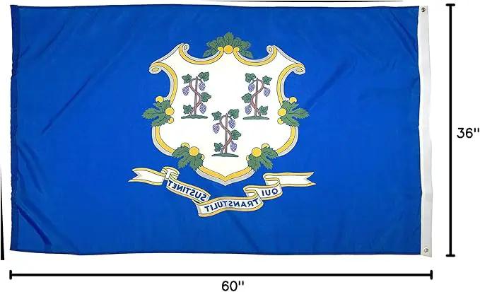 FlagSource Connecticut Nylon State Flag, Made in the USA, 3x5' by GreenHaven Gardens