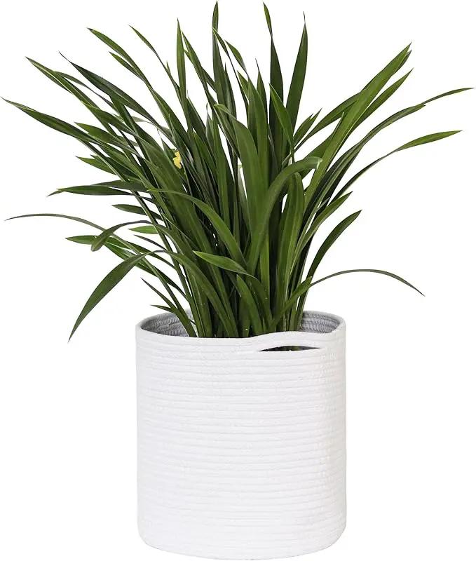 Cotton Rope Plant Basket, Woven Basket Planter for 10 inch Pot, Round Indoor Tree Pot Cover, Small Storage Bin Organizer, Basket for Plants and Home Decor, 11”X11”, White by GreenHaven Gardens
