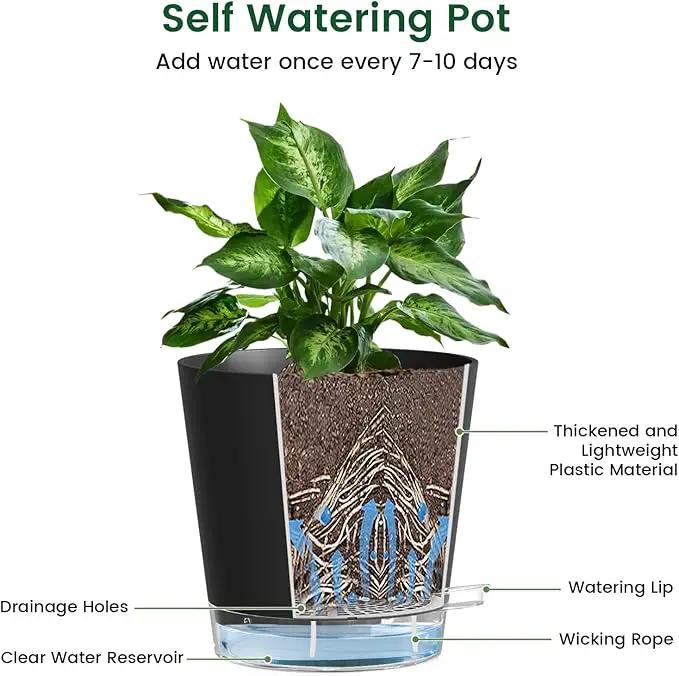 6 inch Self Watering Pots for Indoor Outdoor Plants, 3 Pack Flower Plant Pots with Drainage Holes and Clear Reservoirs, Visible Water Level, Plastic Planters with Wicking Rope, Black by GreenHaven Gardens