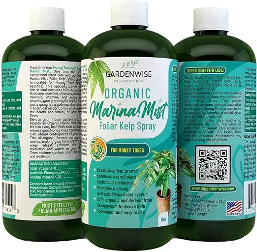 Organic Marina Mist Foliar Spray for Money Tree | Liquid Fertilizer | Micro Nutrients for Vital Health | Liquid Plant Food (16 OZ) by GreenHaven Gardens