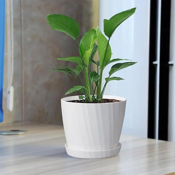 6 Inch Plant Pots Bulk, 6 Pack Plastic Planters with Drainage Holes and Saucers for Indoor Outdoor House Plants and Flowers, White by GreenHaven Gardens