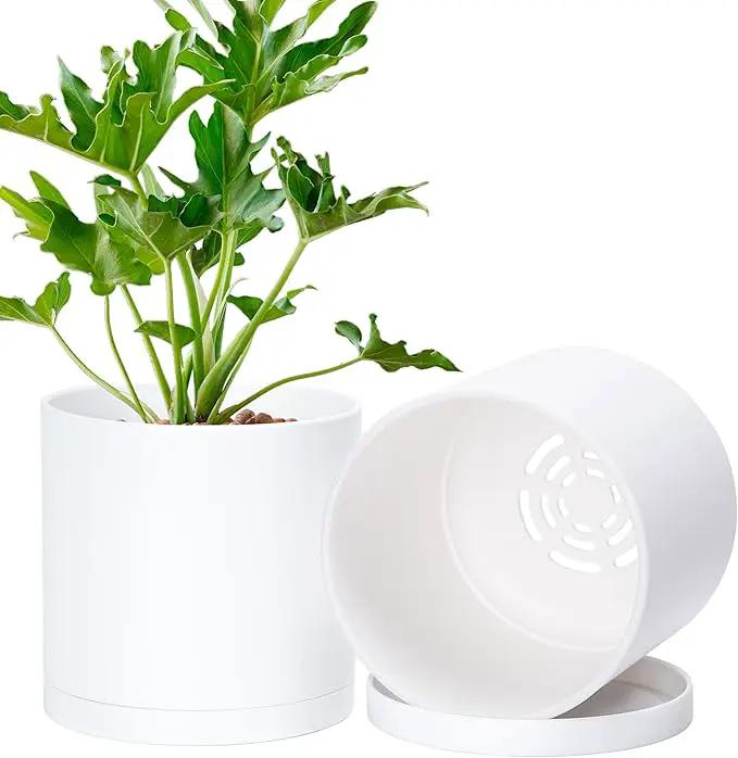 D'vine Dev 2 Pack 6 Inch Modern Plastic Plant Pots, Small Garden Planters for Plant with Drainage Holes and Saucers, White Color, 74-Z-J-1 by GreenHaven Gardens