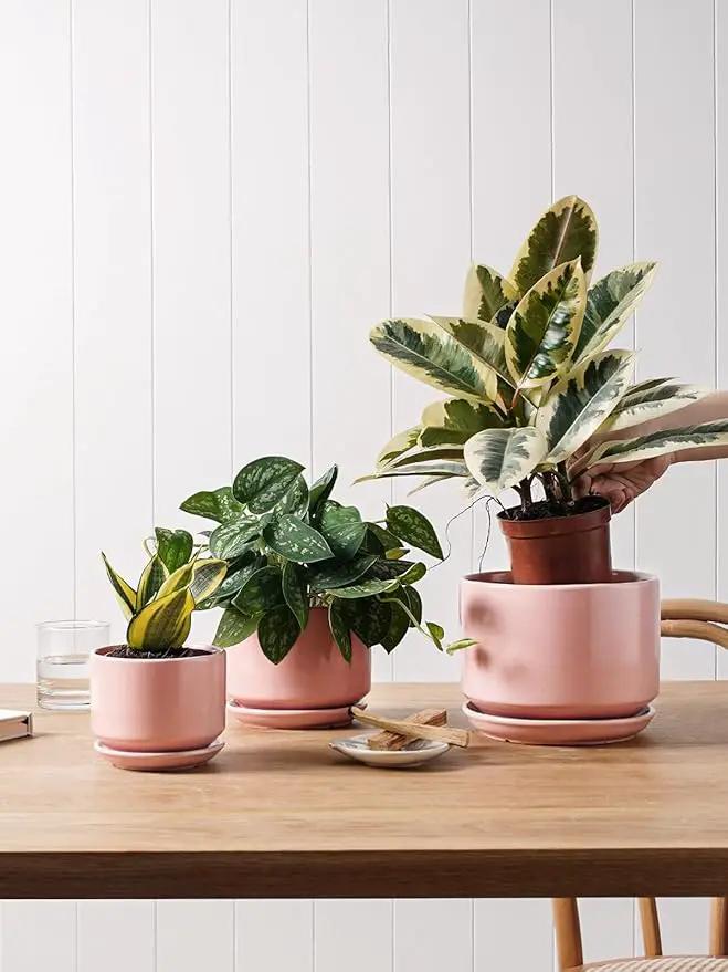 LE TAUCI Ceramic Plant Pots, 4.3+5.3+6.8 inch, Set of 3, Planters with Drainage Hole and Saucer, Indoor Flower Pot with Hole Mesh Pad, Gifts for Mom, Pink by GreenHaven Gardens