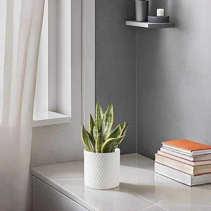 Docrin Ceramic Planters Indoor: 8 Inch Plant Pot with Drainage Holes for Home/Office - White Honeycomb by GreenHaven Gardens