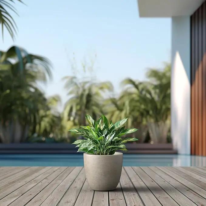 Kante 10 Inch Dia Round Concrete Planter, Indoor Outdoor Large Plant Pot with Drainage Hole and Rubber Plug for Home Patio Garden, Buff Concrete by GreenHaven Gardens