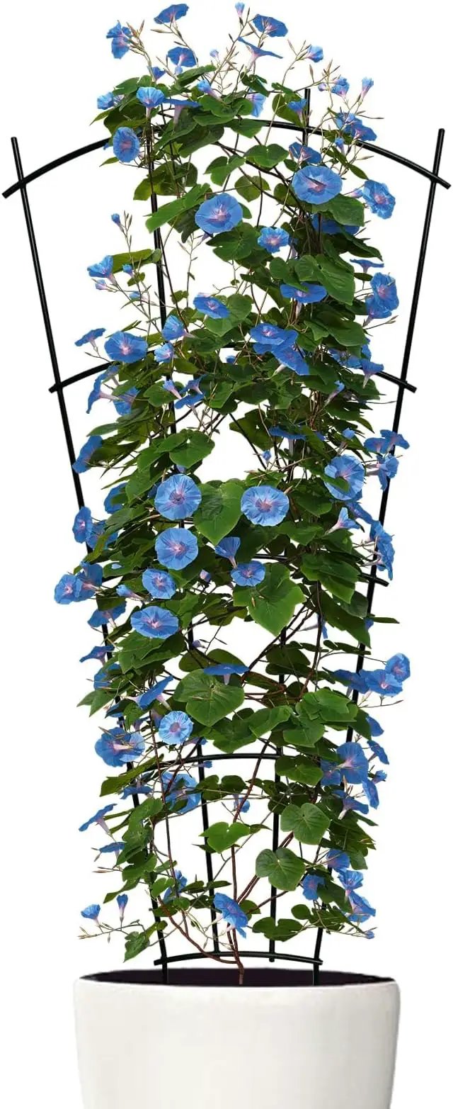 4 Pack 43'' Indoor Plant Trellis for Potted Plants Climbing Outdoor Metal Garden Trellis Houseplants Flowers Vine Ivy,Fan Shape, Black by GreenHaven Gardens
