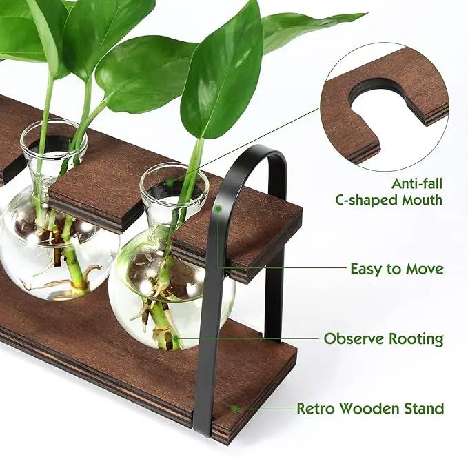 THYGIFTREE Plant Propagation Stations with Wooden Stand, Desktop Retro Plant Terrarium Bulb Vase for Indoor Hydroponic Flowers, Tabletop Glass Planter Housewarming Gifts for Plant Lovers by GreenHaven Gardens