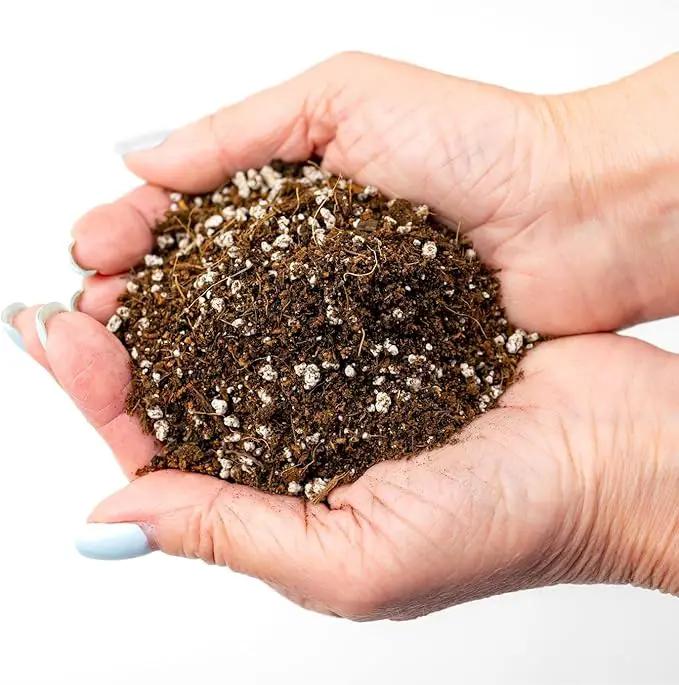 Professional Carnivorous Plant Soil - Ready to Use for Venus Flytraps, Sundews, Pitcher Plants, Butterworts | Peat Moss, Coco Coir, Perlite - 20 Quart by GreenHaven Gardens