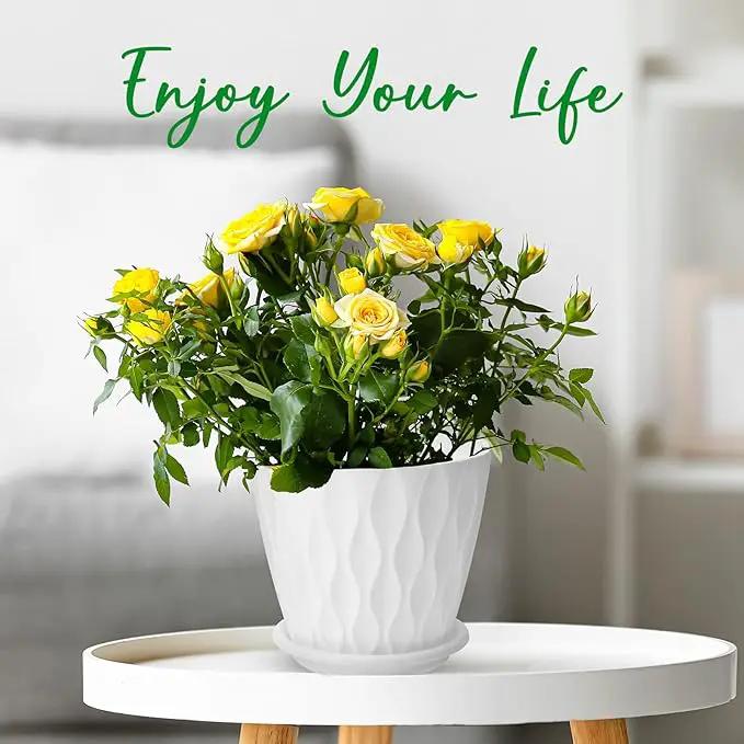 6 inch Plant Pots, 5 Pack Flower Pots Outdoor Indoor, Planters with Drainage Hole and Tray Saucer. by GreenHaven Gardens