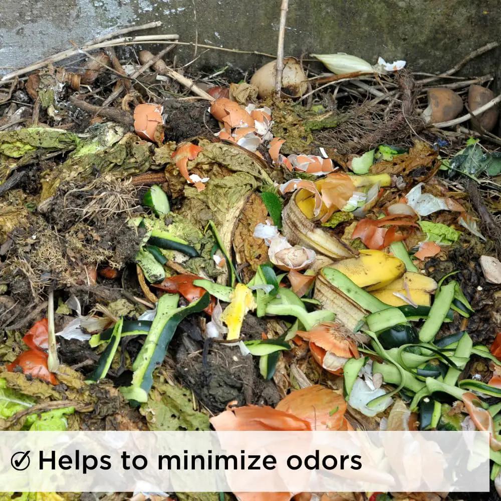 Dr. Connie’s Compost Plus 100x Concentrated Natural Compost Accelerator | Fast-Acting Microbe Blend for Indoor & Outdoor Bins, Tumblers, and Piles | Odour Control & Rapid Decomposition by GreenHaven Gardens
