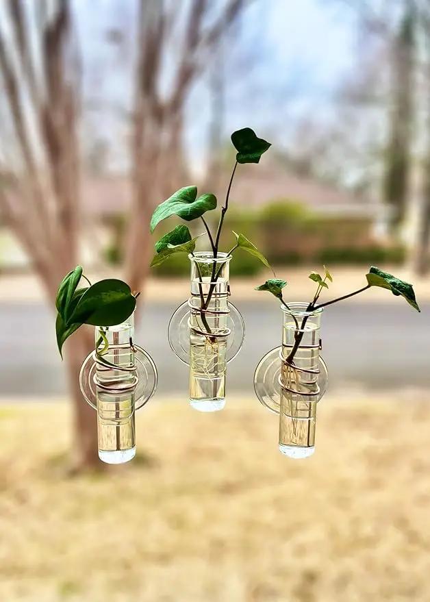 The Little Window Propagator | Window Propagation Station with Removable Glass Tubes, Indoor Plant Clippings, Cut Flowers, Herbs, Succulents | Home Decor | Plant Lover Gift (3)