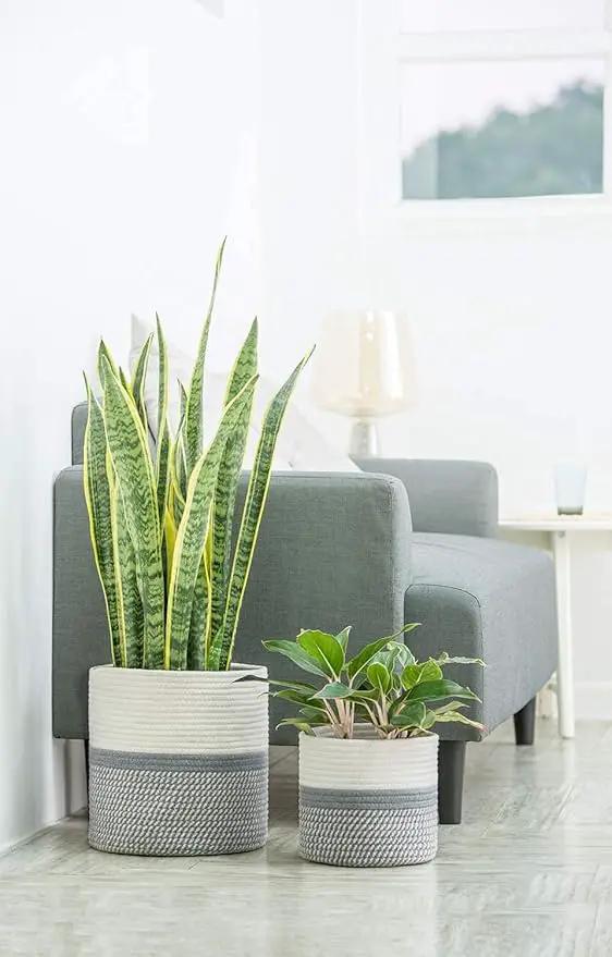 Dahey Jute Cotton Rope Plant Basket Mini Woven Storage Basket for Up to 7" Planter, Decorative Flower Pot Cover Closet Storage Bin Table Desk Organizer Modern Home Decor, Grey by GreenHaven Gardens