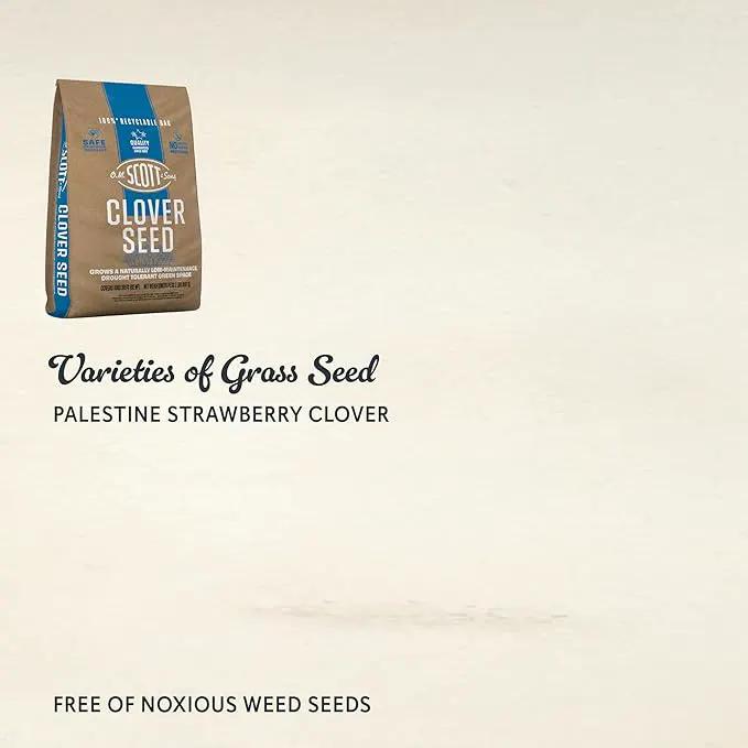 O.M. Scott and Sons Clover Seed, Lawn Seed Grows a Naturally Low Maintenance, Drought-Tolerant Lawn, 1,000 sq. ft., 2 lb. by GreenHaven Gardens