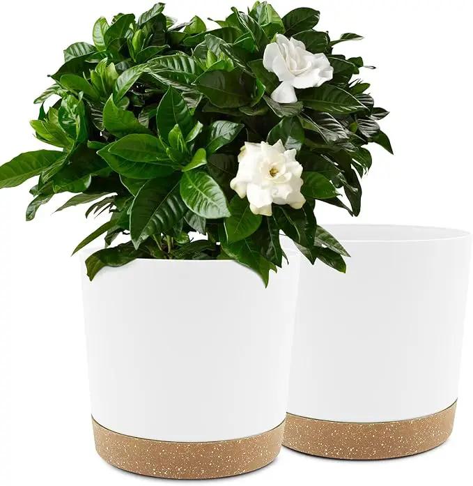 QCQHDU 10 inch Plant Pot, 2 Pack Planters for Indoor Plants with Drainage Holes & Saucer, Outdoor Flower Pots Home Garden Modern Decor by GreenHaven Gardens