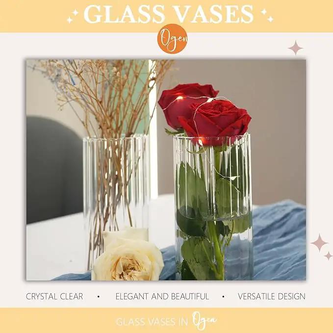 12pcs Glass Vase Cylinder Vases for Centerpieces Small Flower Glass Vases Bud Vases Home Decor Centerpiece Table Flower Vase Decorations for Office Beautification＆Holiday 6 Inch Tall by GreenHaven Gardens